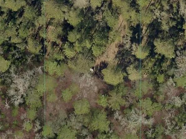 SW 156th Pl Lot 332, Dunnellon, FL 34432