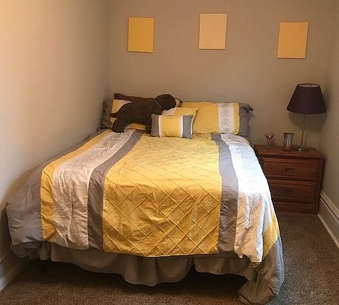 2nd bedroom/guest bedroom, large closet