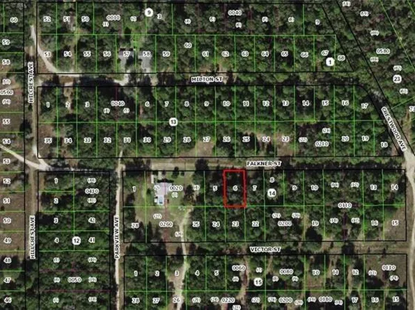 2003 Falkner St, Inverness, FL 34453