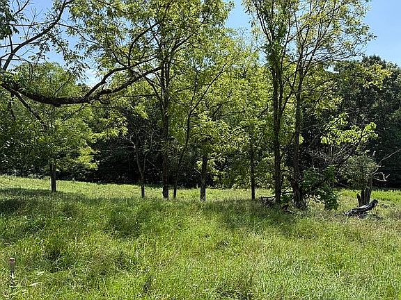 3rd image of 0 Laurel Creek Rd NE #B
