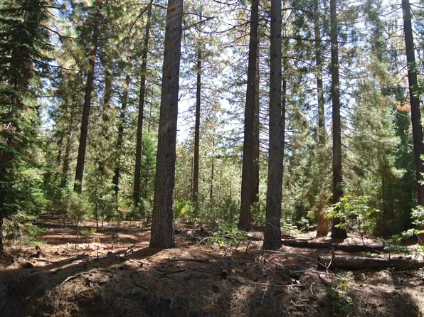 43 Foresthill Rd, Foresthill, CA 95631