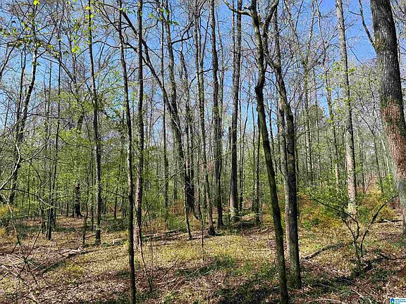 2nd image of 0 County Road 51 #1