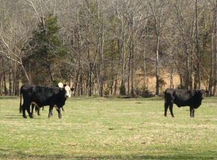 29228 Pettusville Rd, Elkmont, AL 35620