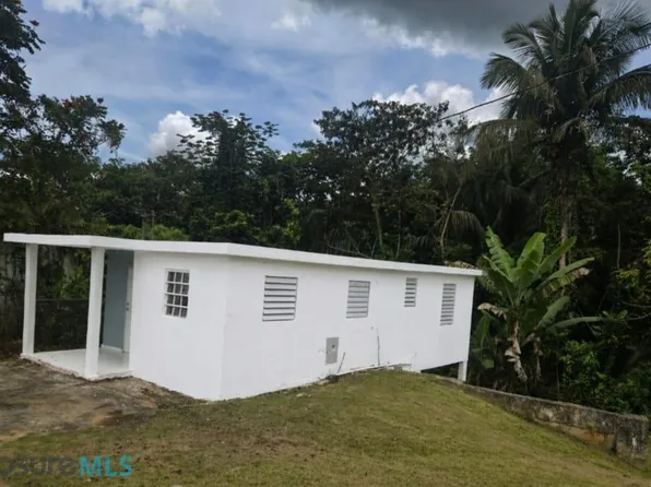 114 Bo Angeles, Utuado, PR 00641