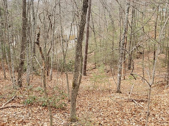 4th image of 551 Sky View Dr Lot 551