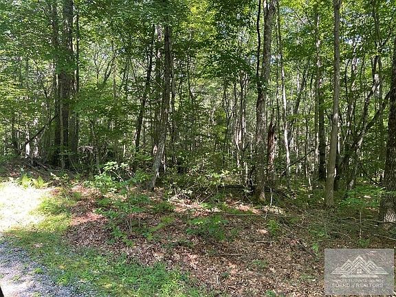 4th image of LOT 31/3 Cove Creek Rd