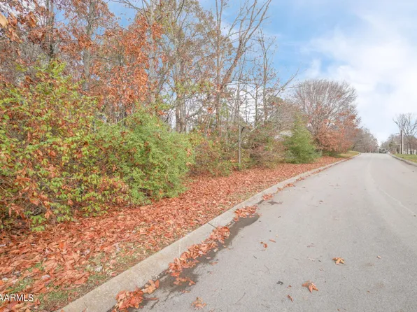 2224 W Ridgewood Dr, Louisville, TN 37777