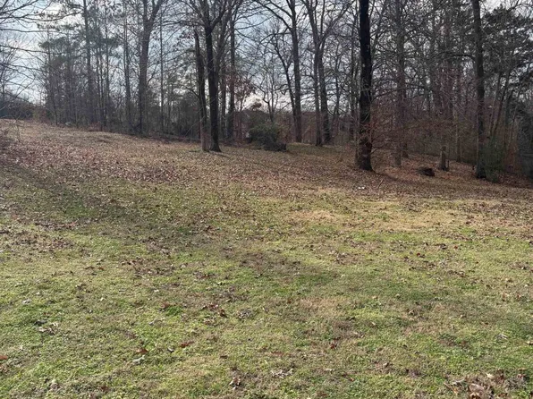 9021 Red Tulip Cv Lot 8, Cordova, TN 38018