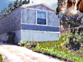 7113 Comstock Cv, Leander, TX