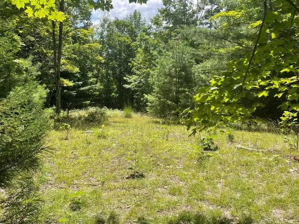 00 Mosquitoville Road, Barnet, VT 05821