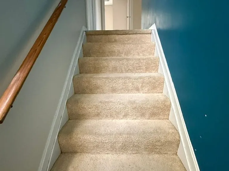 2788 Pinewood Dr — Photo 19