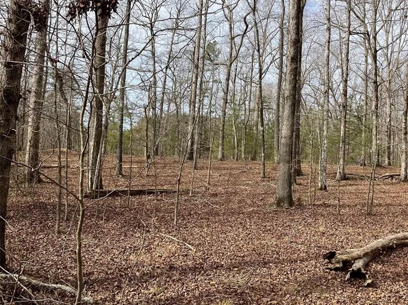 LOT 7A Springbrook Ct, Columbus, NC 28722