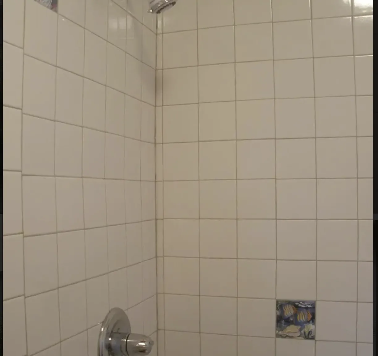 2 bed, 700 sqft, $1,450 — Photo 1