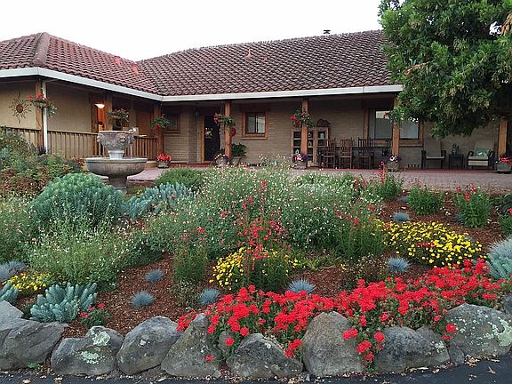Front Garden
