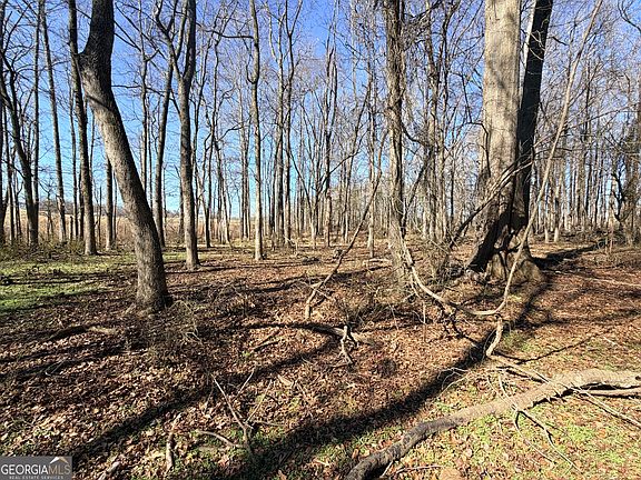 3rd image of 0 Adams Duncan Rd Tract 2