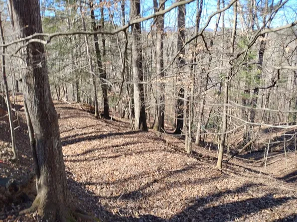 LOT-2090R Newport Dr Lot 2090R, Ellijay, GA 30540