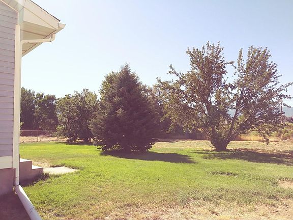 Backyard looking Southeast