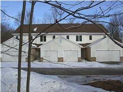 1420 Viewpoint Dr, Greenville, MI, 48838