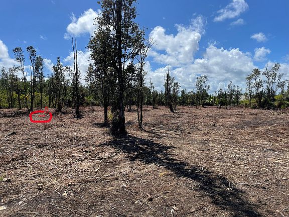 4th image of 15-1462 8th Ave Lot 1882