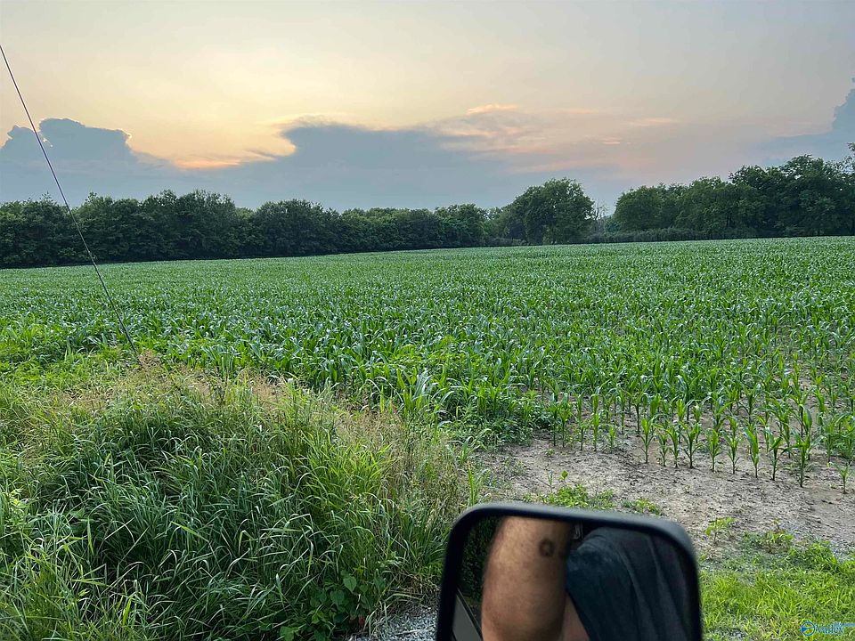 2nd image of 107/ACRE S Happy Hollow Rd
