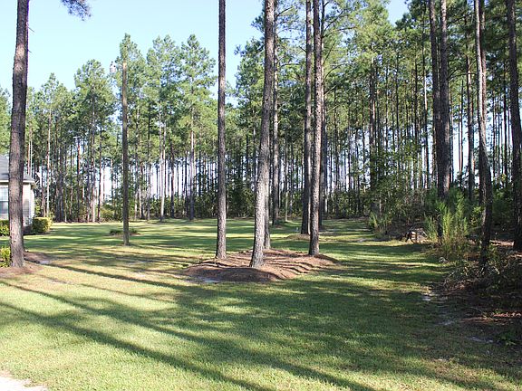 Yard - Right Side