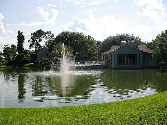 Pond 