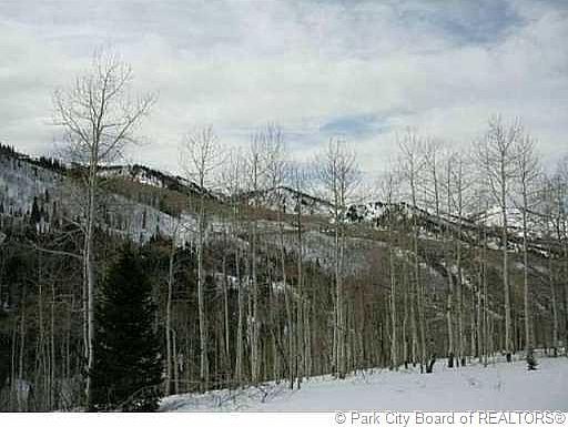 1st image of 220 White Pine Canyon Rd #220