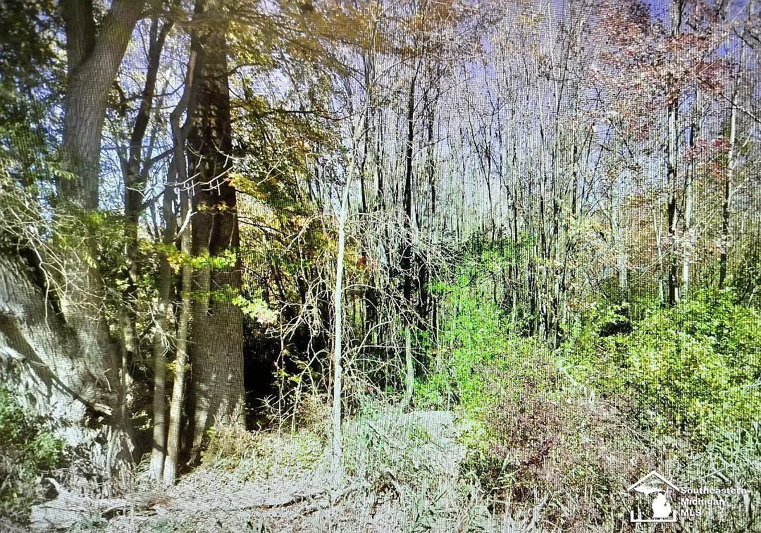 49570 Bog Rd photo 1