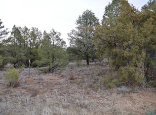 5 Gods Acre Rd, Pinehill, NM 87357