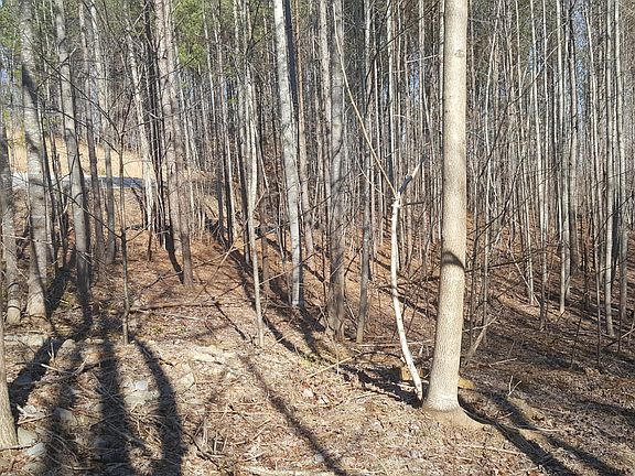 5th image of 16 Cross Creek Trl