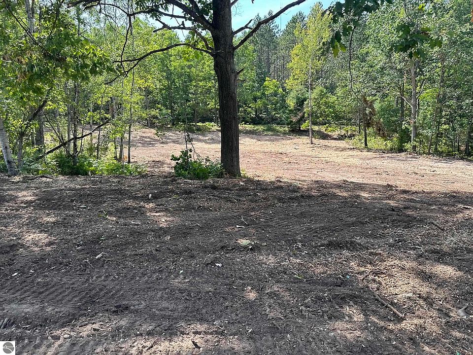 Betsie River Rd, Interlochen, MI 49643 Zillow