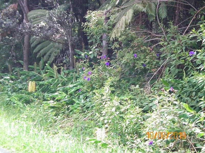 2nd image of Kilauea Rd Lot 8