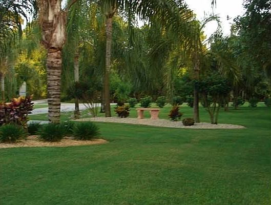 Front Yard Landscaping