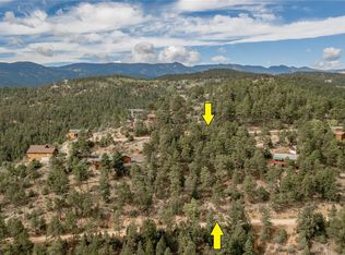 120 Turkey Ln, Bailey, CO 80421