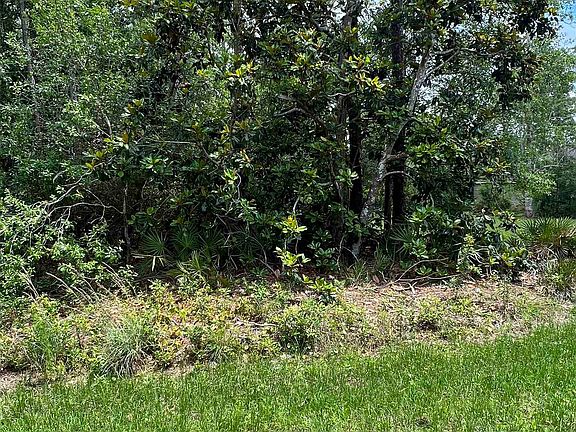 4th image of 0 Pinewood Ave