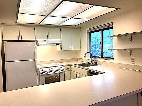 Light and bright kitchen with dishwasher, in-sink disposal, electric range, good-sized fridge