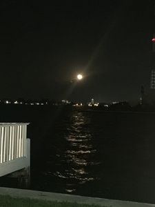 7909 East Dr APT 109, North Bay Village, FL, 33141