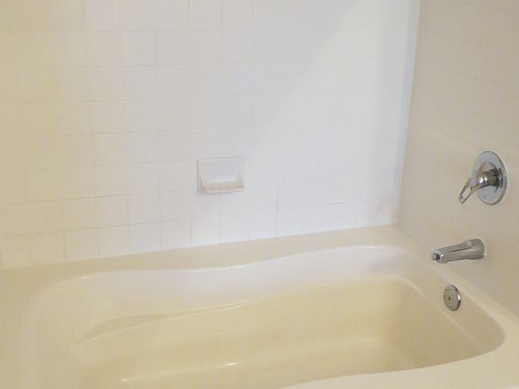 Master Bath Tub