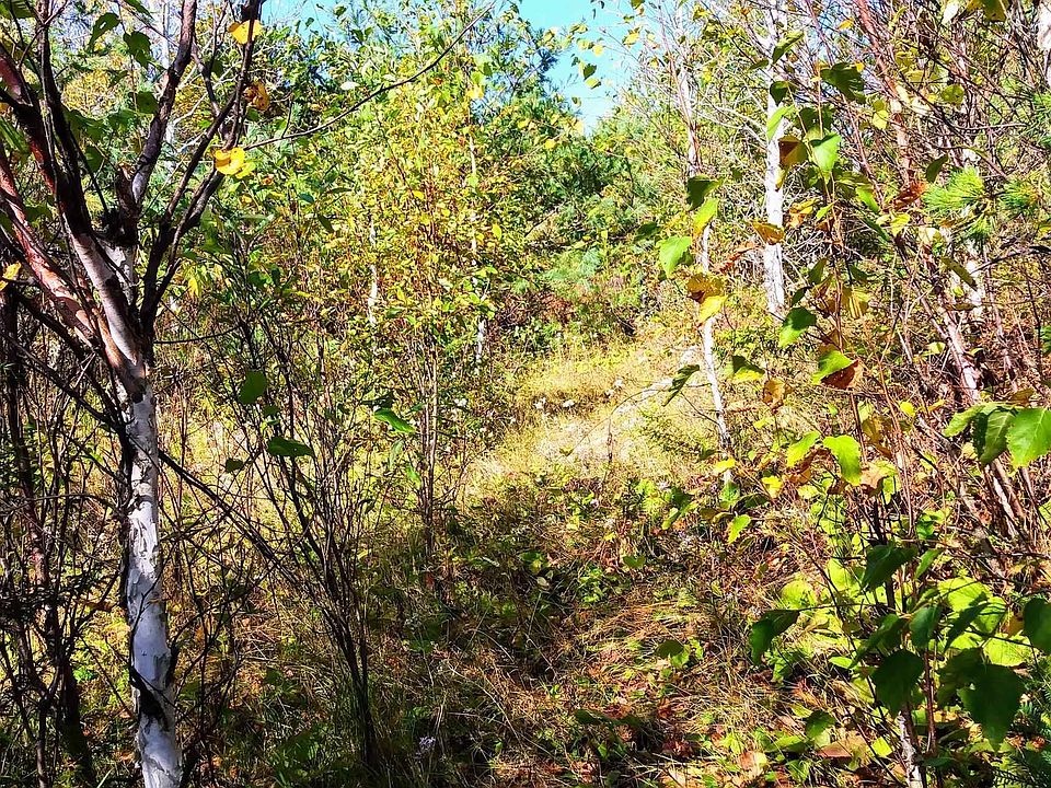 1st image of xxx Poplar Lake