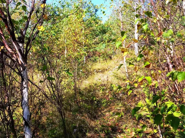 Poplar Lake Ln, Grand Marais, MN 55604