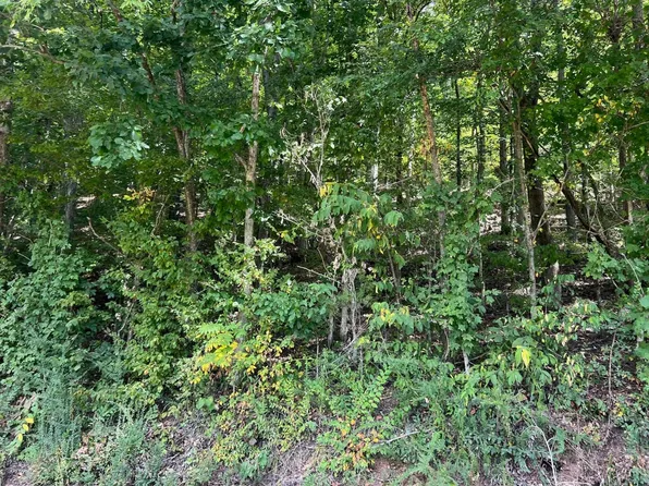 0 Old Weatherford Creek Rd, Lutts, TN 38471