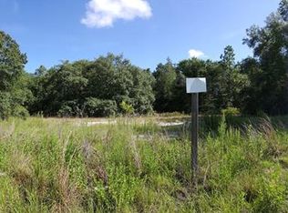 33035 Headstone St, Webster, FL 33597