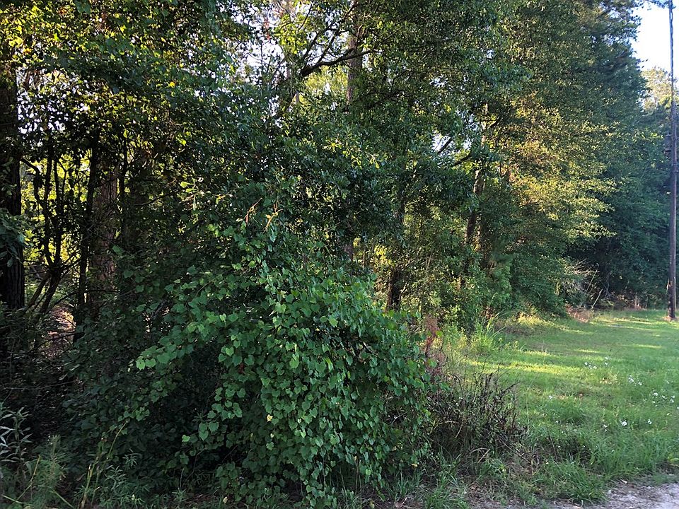 2nd image of 46 Bettye Ln