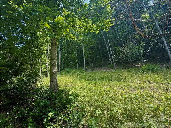 700 Wooded Mountain Trl, Mars Hill, NC 28754