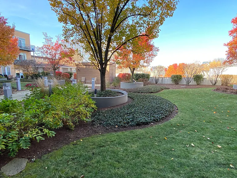 Courtyard view from gym