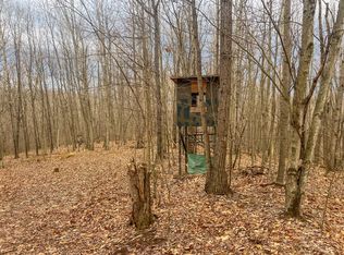 (Undisclosed Address), Ray, OH 45672