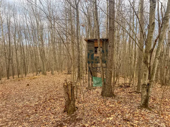 Ponetown Rd, Ray, OH 45672