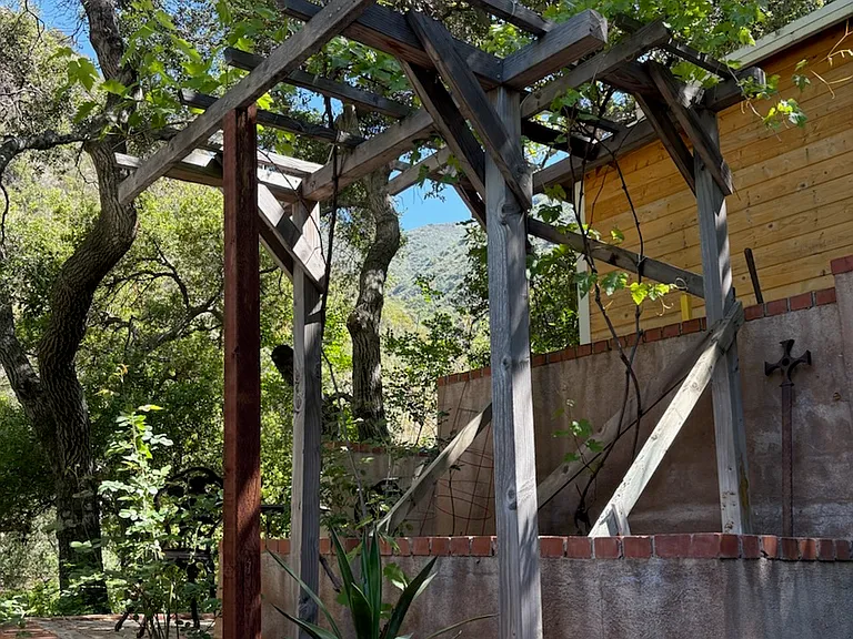 Grape arbor