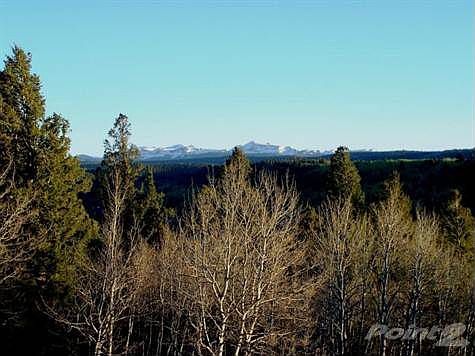 And maybe the best view on the mountain!