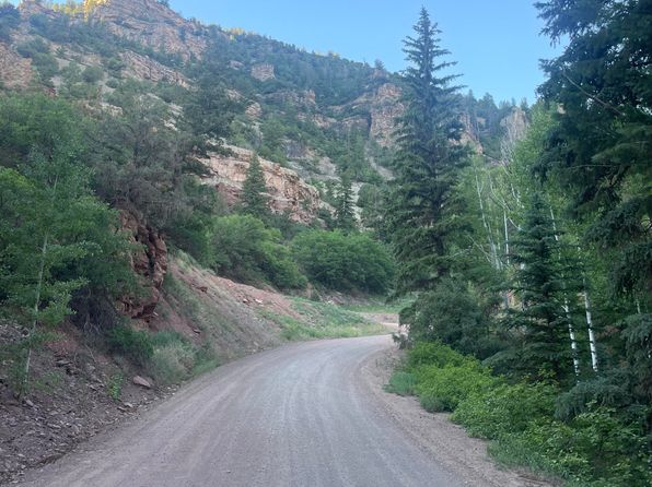 58 Road #P, Placerville, CO 81430